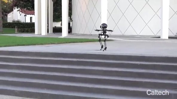 Scientists at Caltech decided to rethink how robots could move in the future