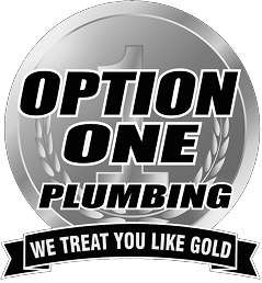 Option-One-Logo 1